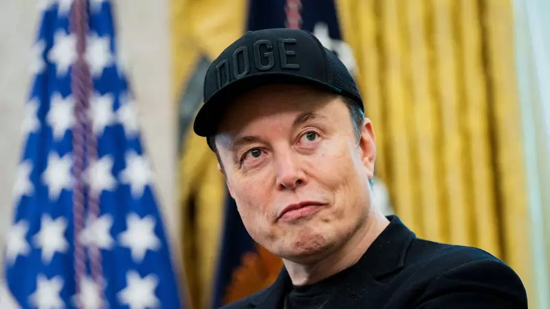 Elon Musk Confirms Major X Bug Hiding Followed Accounts' Posts - Fix Underway