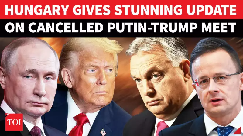 European Ally Slams Ukraine: 'Stop Making Demands' Amid War Fatigue | Times of India