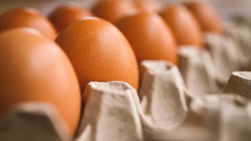 FDA Sounds Alarm: Black Sheep Egg Company Recalls Eggs Nationwide Over Salmonella Fears