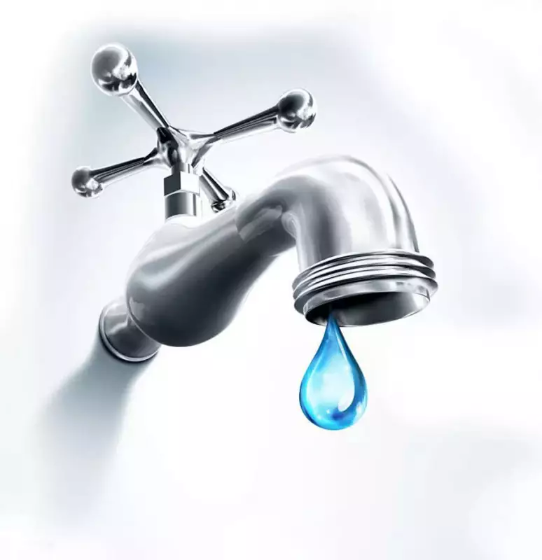 Goa's Sattari Crisis: Parched Villagers Survive on Mere Droplets of Water Daily