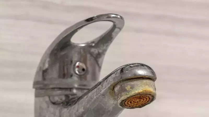 Hard Water Woes? 6 Genius Home Hacks to Protect Your Appliances & Save Money