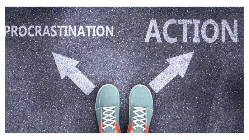 Harvard Study Reveals: Procrastination Can Actually Help You Ace Your Exams!