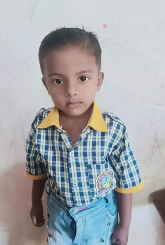 Hazaribag Horror: 4-Year-Old Boy Found Dead Under Neighbour's Car in Tragic Accident