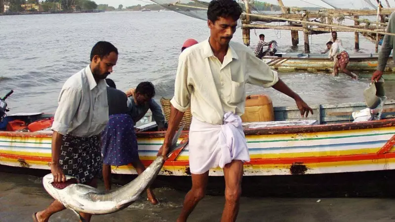 India's Blue Revolution: NITI Aayog Pushes for Deep-Sea Fishing to Boost Food Security & Exports