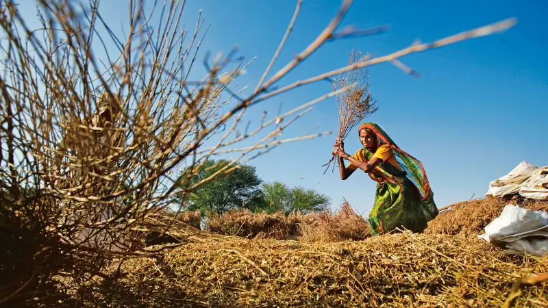 India's Fiscal Divide: How State Finances Are Creating a Development Chasm Across States