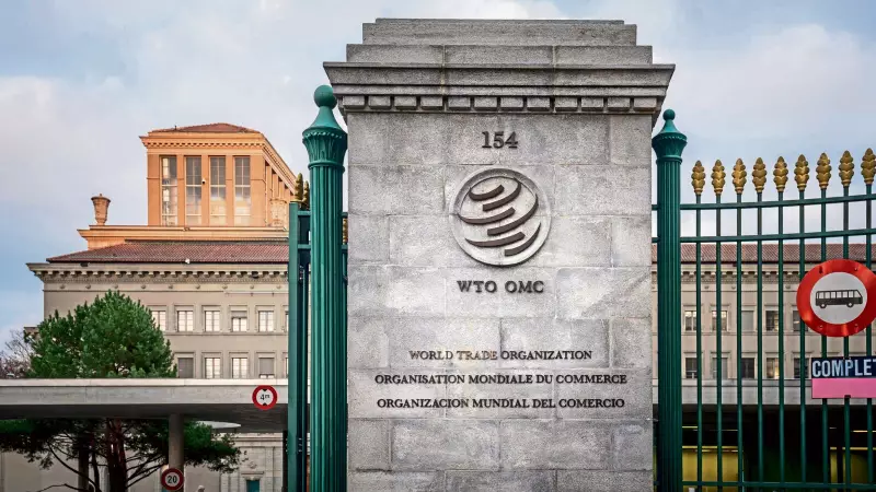 India's MSME Export Boom Earns WTO Praise: AEO Scheme Recognized as Global Best Practice