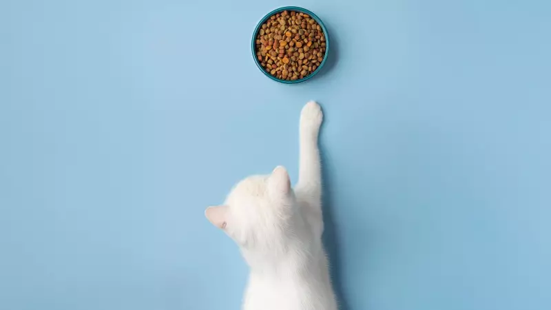 India's Pet Food Revolution: How Homegrown Startups Are Disrupting the ₹3,000 Crore Market