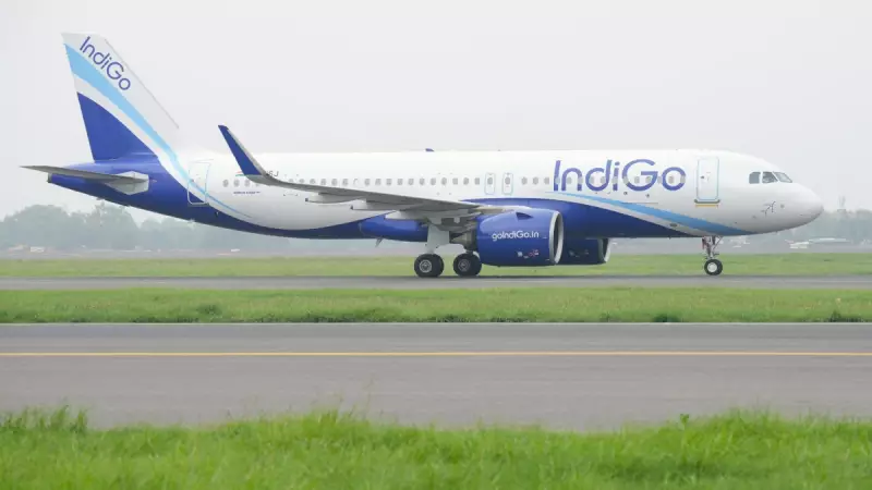 Indigo Goes Big: Orders 30 Airbus A350-900 Jets to Dominate Long-Haul Routes | India Business News