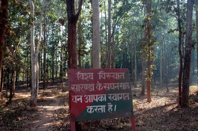 Jharkhand's Bold Move: Saranda Forest to Become 250 Sq Km Sanctuary Amid Tribal Rights Debate