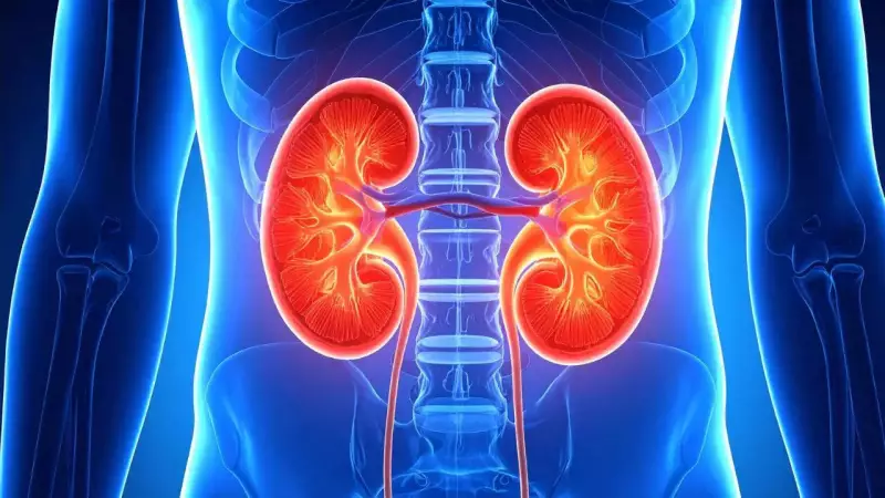 Kidney Failure vs Renal Failure: Unmasking the Silent Threat to Your Health