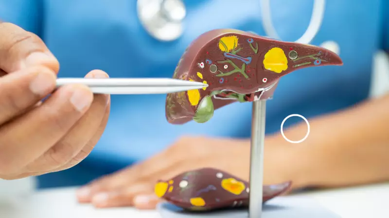 Liver Cancer Alert: Why Healthy People Are Now At Risk & Warning Signs You Must Know