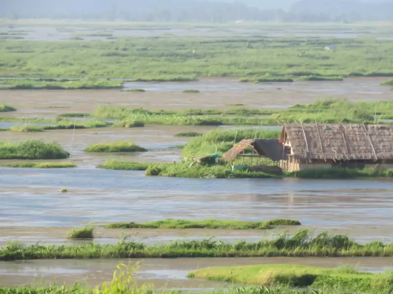 Loktak Lake in Peril: Nagaland University Study Reveals Alarming Water Quality Decline