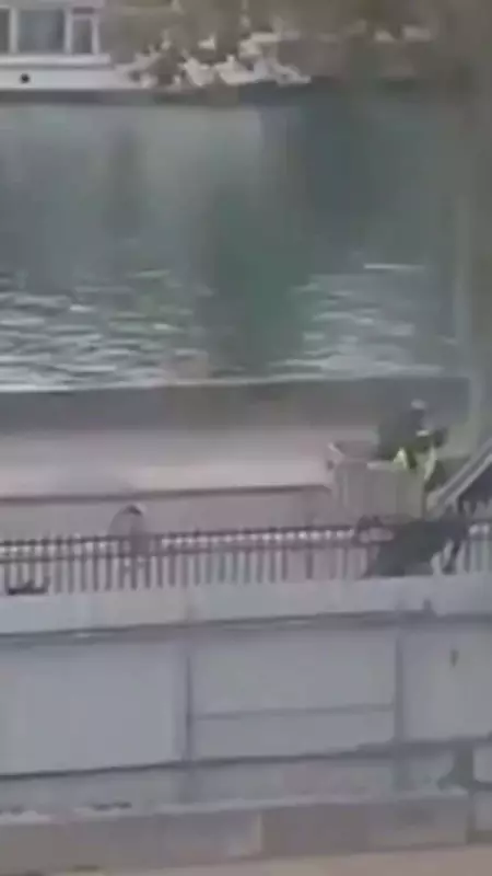 Louvre Heist: New Viral Video Shows Daring 4-Minute Escape Like a Hollywood Movie