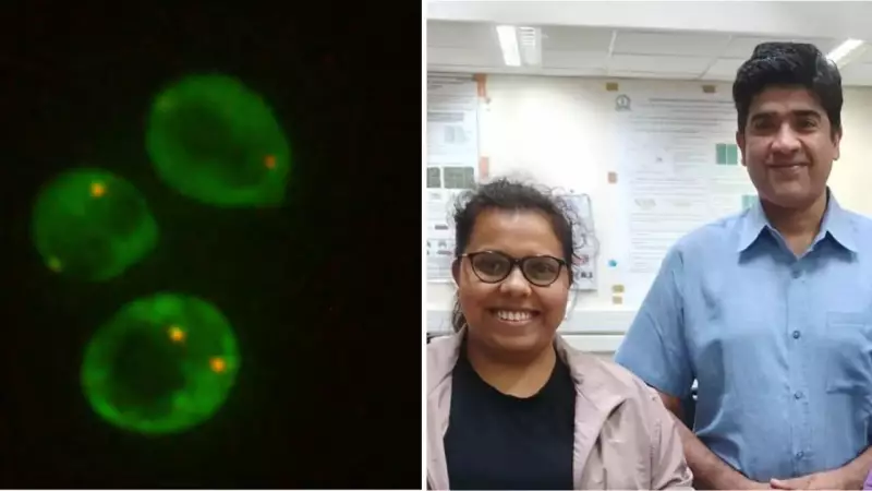 Mars Survival Breakthrough: IISc & ISRO Discover Yeast Can Withstand Martian Conditions