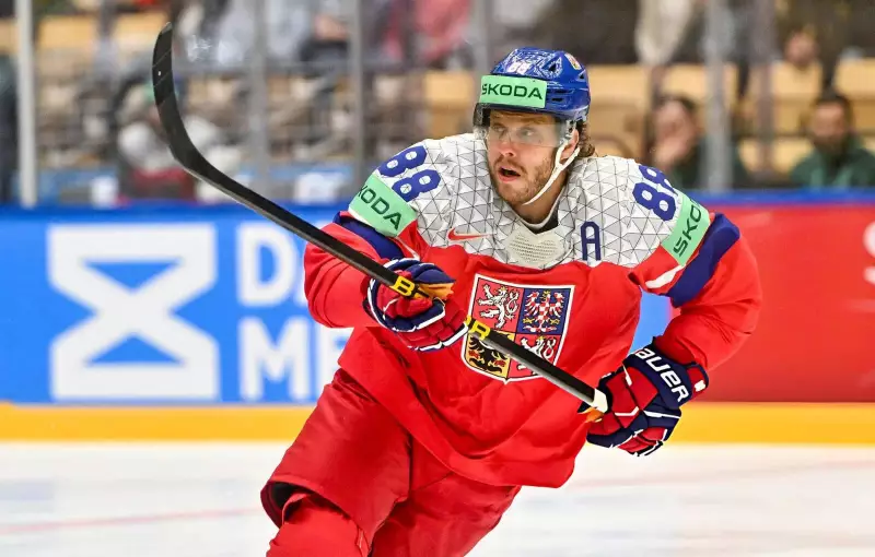 Meet the Woman Behind the Star: David Pastrnak's Wife and Their Private Love Story