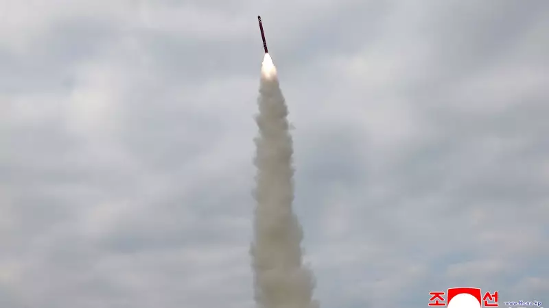 North Korea Fires Cruise Missiles Amid Trump's South Korea Visit: Will US President Meet Kim Jong Un?