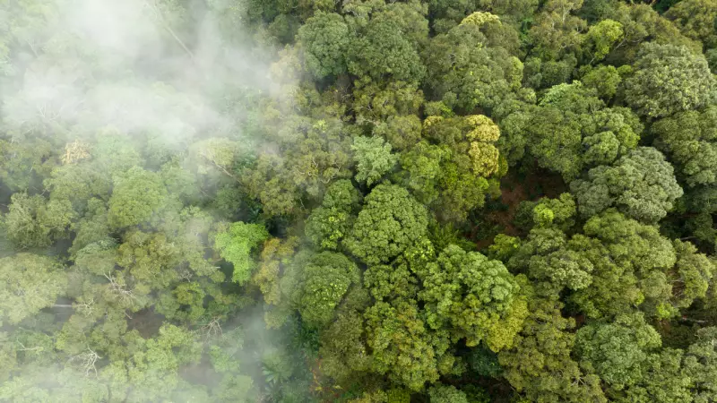Odisha Pollution Board Cracks Down: 13 Rogue Auto & Plastic Units in Sundargarh Forced to Shut Down