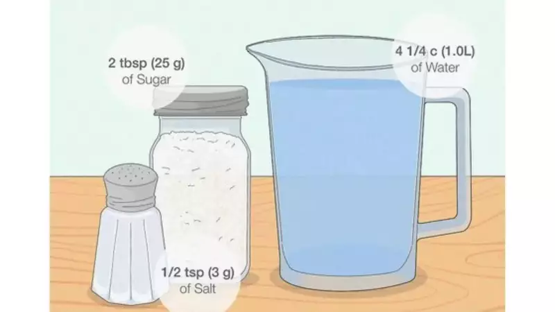 ORS Magic: Your Complete Guide to Fighting Dehydration at Home - Benefits, Risks & DIY Recipe