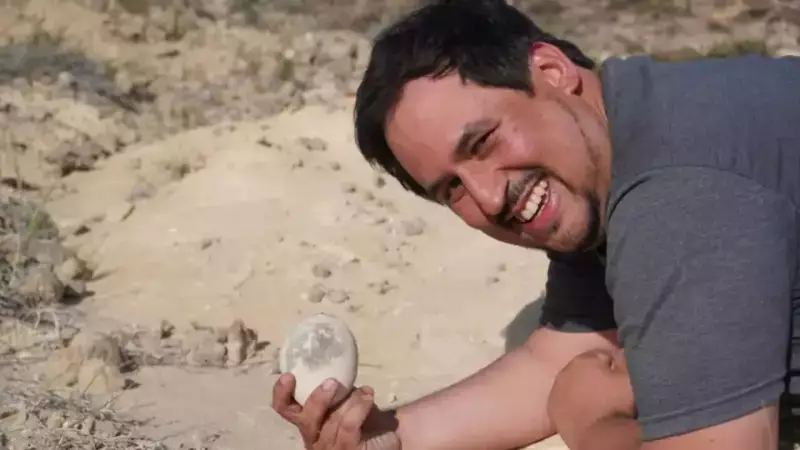 Patagonia's Ancient Secret: Rare Dinosaur Egg Discovery Rewrites Evolutionary History