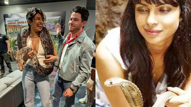 Priyanka Chopra's Snake Necklace Stuns Fans! Nick Jonas' Priceless Reaction Goes Viral