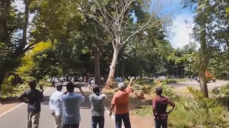 Puducherry Highway Tree Felling Sparks Outrage: Villagers & Environmentalists Clash With Authorities