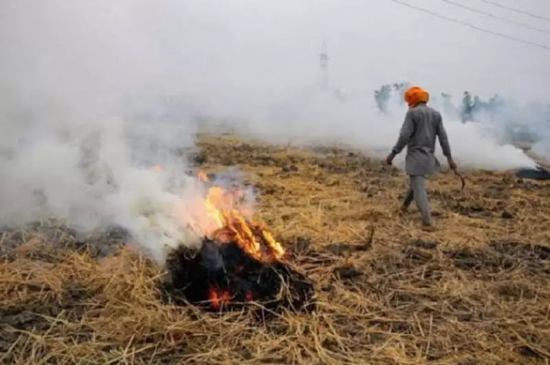Punjab Stubble Burning Continues Unabated: Delhi-NCR Chokes on Toxic Smog Despite Warnings