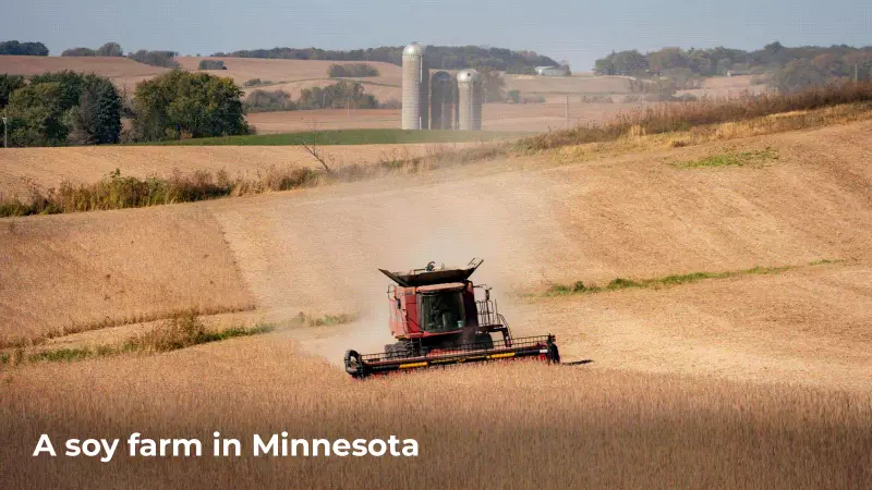 Soy & Corn Politics: The Hidden Battle Behind India-US Trade Tensions