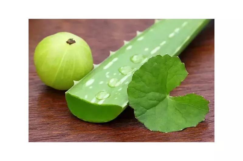 Stop Hair Fall Naturally: The Ultimate Amla & Aloe Vera Hair Mask Recipe