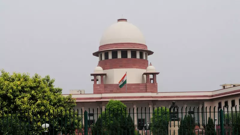 Supreme Court Slams States & UTs for Missing Deadlines in Stray Dogs Case | November 3 Hearing
