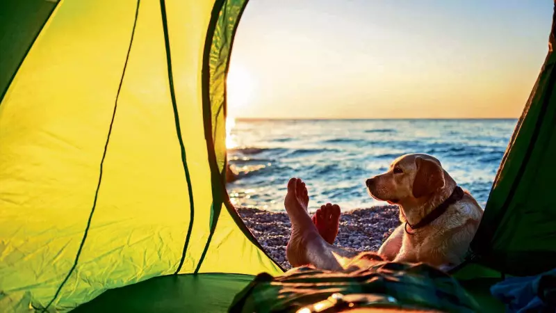 The Gift of Time: How Productivity Became E-commerce's Most Valuable Currency