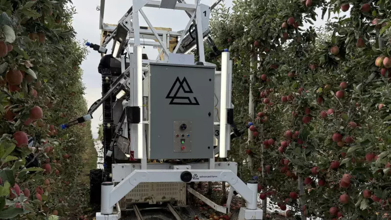 The Robotic Harvesting Challenge: Why Machines Struggle With Nature's Delicate Tasks