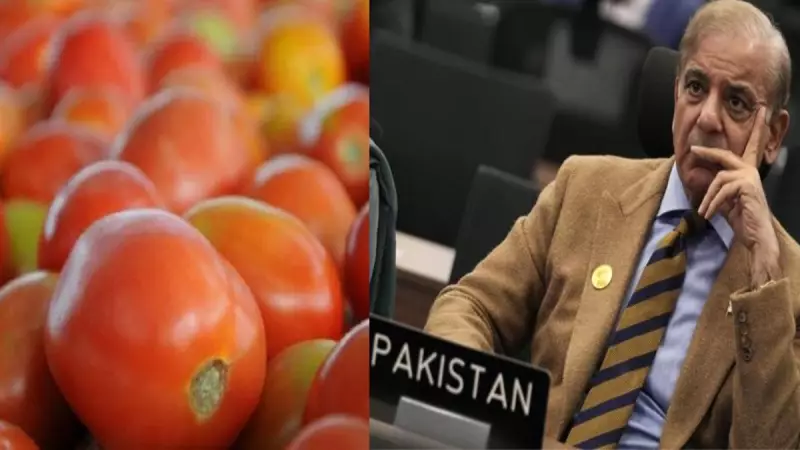 Tomato Crisis in Pakistan: Prices Skyrocket 400% After Afghan Border Closure
