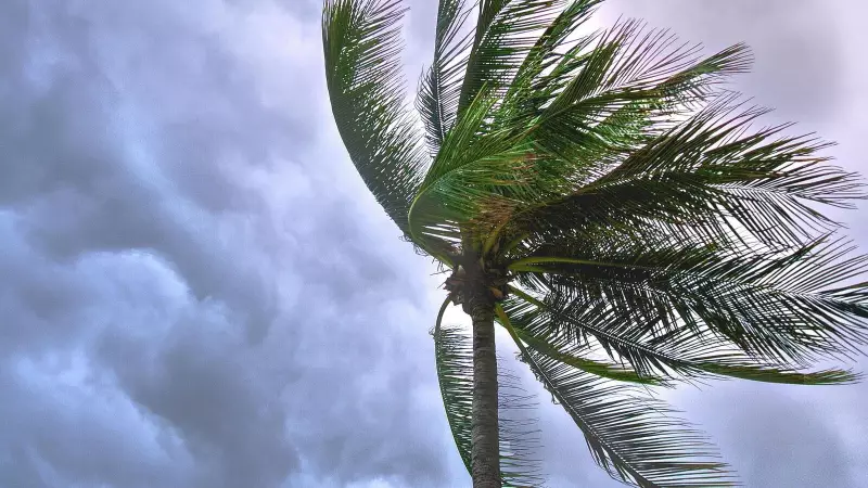 Tropical Storm Melissa Intensifies: Caribbean on High Alert for Potential Hurricane