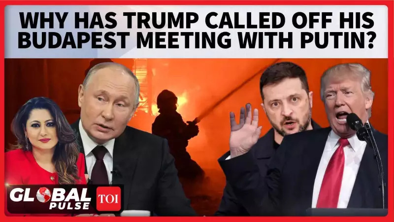 Trump Cancels Putin Meeting: Was Ukraine's Donbas Decision the Real Reason? | Global Pulse Analysis
