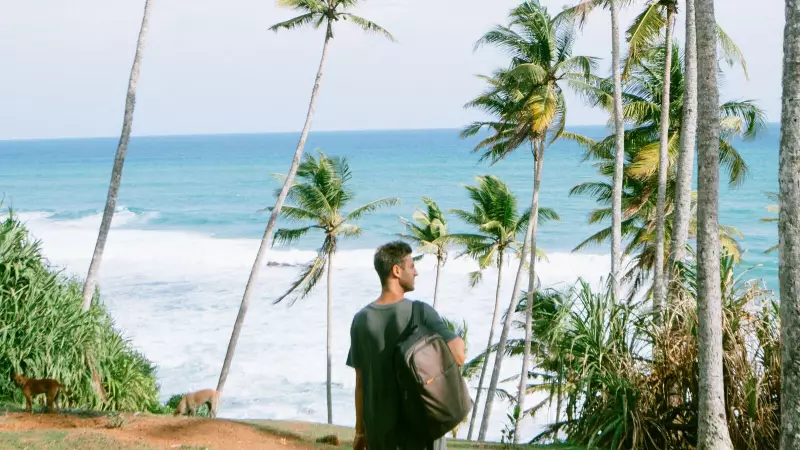 Unlock Massive Travel Savings: Top Credit Cards for Your Next Indian Adventure