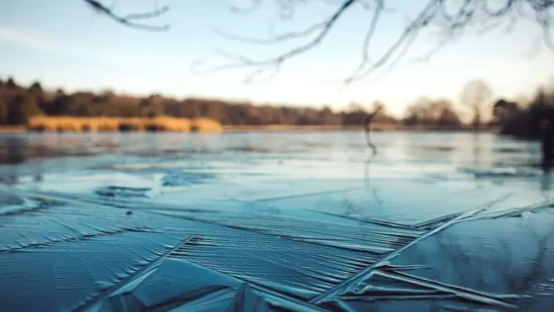 US Braces for Arctic Blast: Frost Advisory and Freeze Warning Issued for Multiple States - Safety Steps Revealed