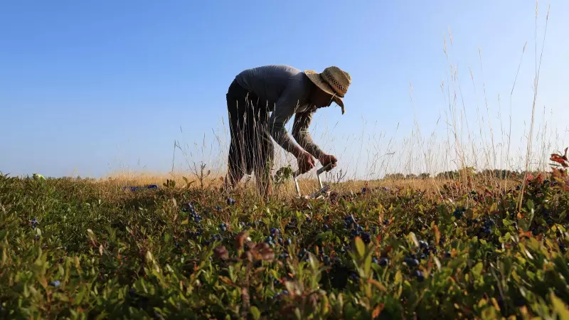 US Climate Research Faces Drastic Cuts: What It Means for Global Warming Fight