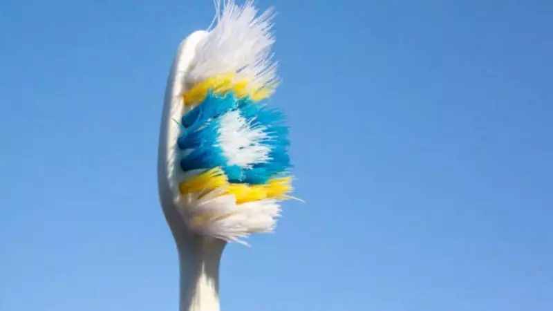 Your Toothbrush Could Be a Germ Factory! Experts Reveal Shocking Health Risks
