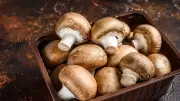 7 Incredible Indian Mushrooms & Their Amazing Health Benefits You Need to Know