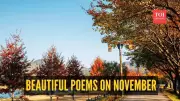 8 Beautiful November Poems That Capture the Month's Soulful Essence | ToI Life