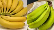 Banana Battle: Ripe vs Unripe - Which Wins for Blood Sugar, Weight Loss & Digestion?