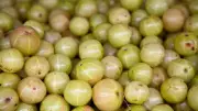 Boost Your Immunity Naturally: 5 Powerful Food Combinations with Amla You Need to Try