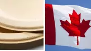 Canada's Paper Plate Probe Sparks Social Media Frenzy: Internet Roasts Government Over 'Critical' Investigation