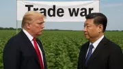 China Halts US Soybean Imports Completely: Trade War Escalates Under Xi & Trump