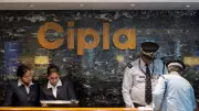 Cipla Shares Tumble 4%: What's Spooking Investors After Q2 Results?