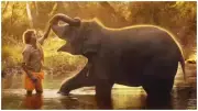 Elephant Whisperer of Chhattisgarh: Heartwarming Video Shows Man Gently Guiding Wild Elephants to Safety