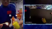Fire in Zero-G: Astronauts Reveal Stunning Blue Flame Mystery of Space Matches