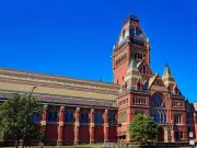 Harvard's Grade Inflation Crisis: What Soaring A's Reveal About America's Failing Higher Education System