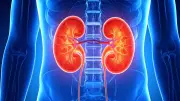 Kidney Failure vs Renal Failure: Unmasking the Silent Threat to Your Health