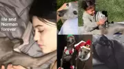 Kylie Jenner Heartbroken: Mourns the Loss of Beloved Dog Norman in Emotional Tribute